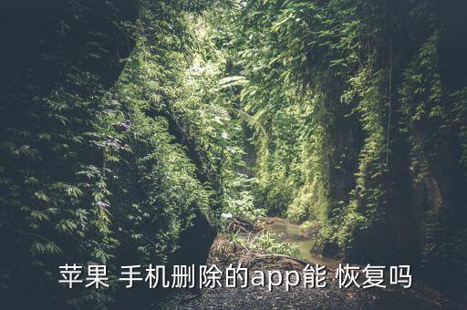  蘋果 手機刪除的app能 恢復嗎