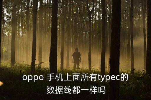 各類手機(jī)型號(hào)數(shù)據(jù)線,oppo手機(jī)的數(shù)據(jù)線是什么型號(hào)