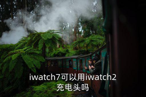 蘋(píng)果7數(shù)據(jù)線越南,蘋(píng)果數(shù)據(jù)線越南質(zhì)量會(huì)不會(huì)比中國(guó)產(chǎn)的好