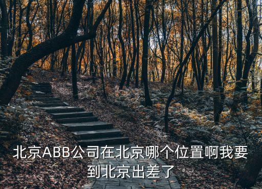 北京ABB公司在北京哪個位置啊我要到北京出差了