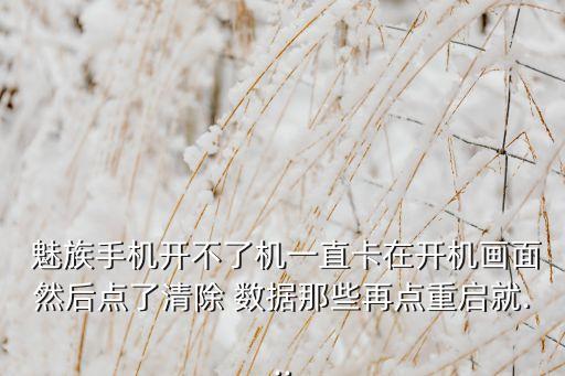 魅族數(shù)據(jù)線logo