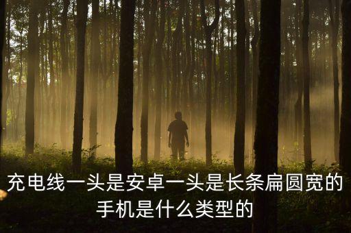 充電線一頭是安卓一頭是長條扁圓寬的手機是什么類型的