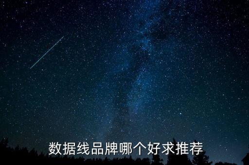 type-c 數(shù)據(jù)線 牌子