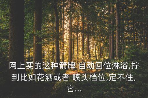 網(wǎng)上買(mǎi)的這種箭牌 自動(dòng)回位淋浴,擰到比如花灑或者 噴頭檔位,定不住,它...