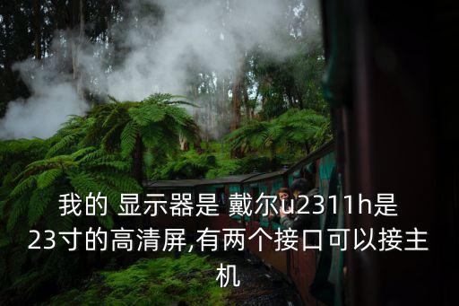我的 顯示器是 戴爾u2311h是23寸的高清屏,有兩個(gè)接口可以接主機(jī)
