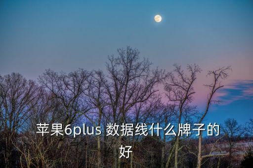  蘋果6plus 數(shù)據(jù)線什么牌子的好