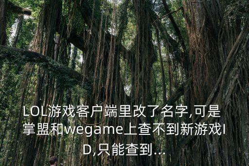 掌盟數(shù)據(jù)延遲,手機(jī)數(shù)據(jù)延遲高什么原因