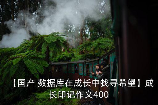 全球數(shù)據(jù)庫市場占有率,國產(chǎn)數(shù)據(jù)庫市場占有率2022