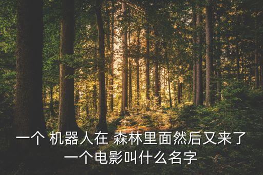 一個 機(jī)器人在 森林里面然后又來了一個電影叫什么名字