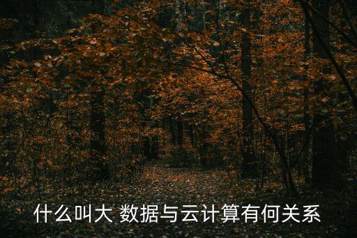 什么叫大 數(shù)據(jù)與云計算有何關(guān)系