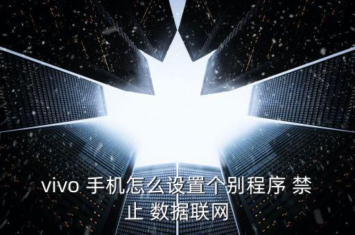vivo 手機怎么設(shè)置個別程序 禁止 數(shù)據(jù)聯(lián)網(wǎng)