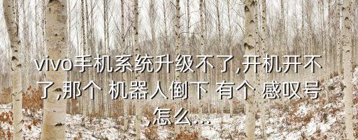 vivo手機(jī)系統(tǒng)升級不了,開機(jī)開不了,那個 機(jī)器人倒下 有個 感嘆號,怎么...