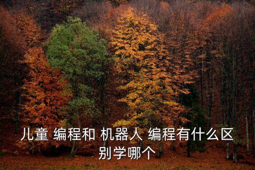機(jī)器人與編程