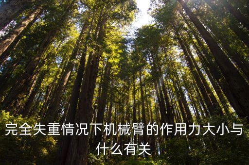 完全失重情況下機械臂的作用力大小與什么有關