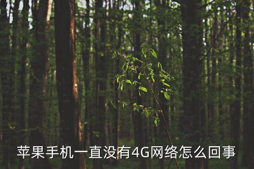 蘋果手機一直沒有4G網(wǎng)絡怎么回事