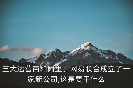 三大運(yùn)營商和阿里、網(wǎng)易聯(lián)合成立了一家新公司,這是要干什么