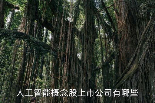 人工智能概念股上市公司有哪些