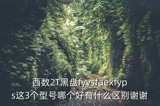 西數(shù)2T黑盤fyysfaexfyps這3個(gè)型號(hào)哪個(gè)好有什么區(qū)別謝謝