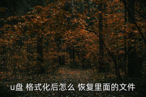 u盤(pán) 格式化后怎么 恢復(fù)里面的文件