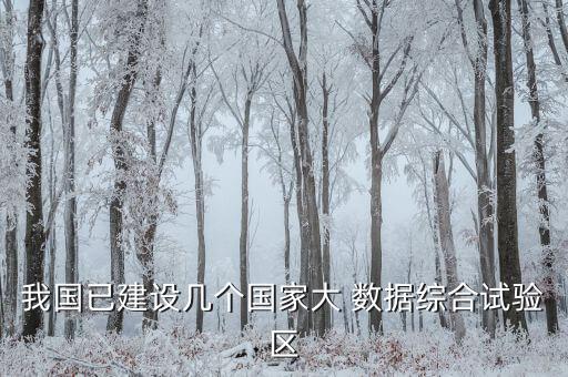 大數(shù)據(jù)國