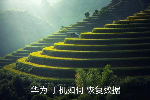 華為手機(jī)助手?jǐn)?shù)據(jù)恢復(fù)0%