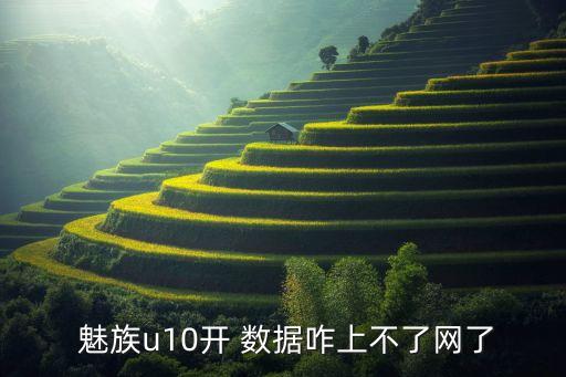  魅族u10開 數(shù)據(jù)咋上不了網(wǎng)了
