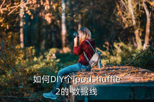 如何DIY個(gè)Ipodshuffle2的 數(shù)據(jù)線(xiàn)