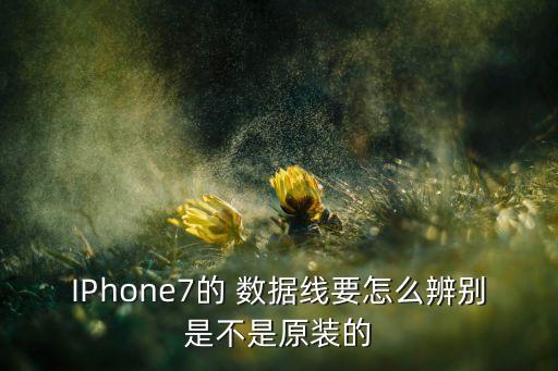 IPhone7的 數(shù)據(jù)線要怎么辨別是不是原裝的
