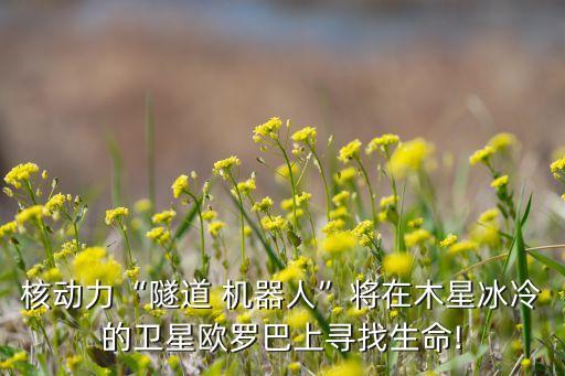 核動(dòng)力“隧道 機(jī)器人”將在木星冰冷的衛(wèi)星歐羅巴上尋找生命!