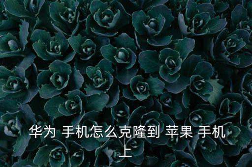華為數(shù)據(jù)轉(zhuǎn)蘋果手機(jī)上,華為轉(zhuǎn)蘋果手機(jī)數(shù)據(jù)怎么互傳
