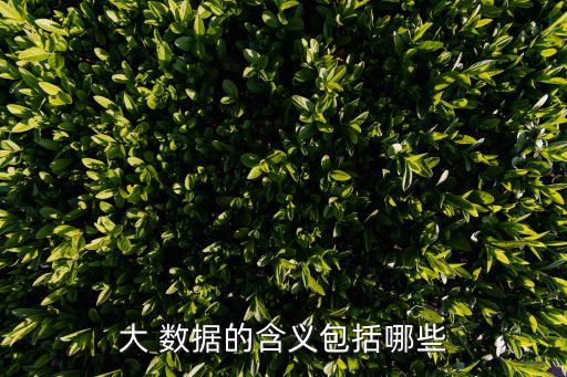 大 數(shù)據(jù)的含義包括哪些