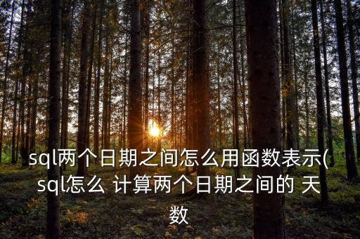 sql兩個日期之間怎么用函數(shù)表示(sql怎么 計算兩個日期之間的 天數(shù)