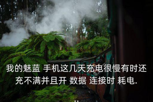 我的魅藍(lán) 手機(jī)這幾天充電很慢有時(shí)還充不滿(mǎn)并且開(kāi) 數(shù)據(jù) 連接時(shí) 耗電...