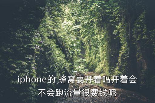 iphone的 蜂窩要開著嗎開著會不會跑流量很費錢呢