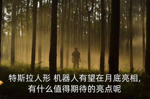特斯拉人形 機(jī)器人有望在月底亮相,有什么值得期待的亮點呢