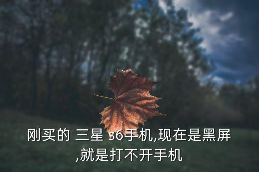 剛買的 三星 s6手機,現(xiàn)在是黑屏,就是打不開手機