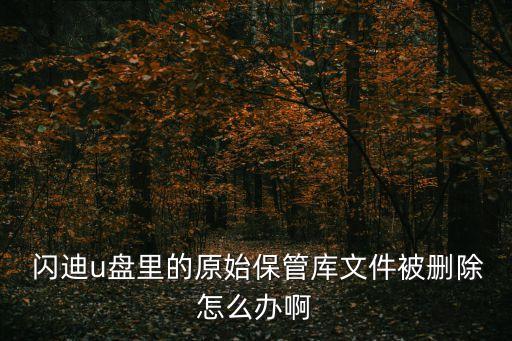  閃迪u盤里的原始保管庫文件被刪除怎么辦啊