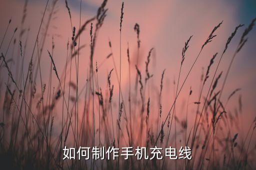 數(shù)據(jù)線繞法,蘋果數(shù)據(jù)線的接法