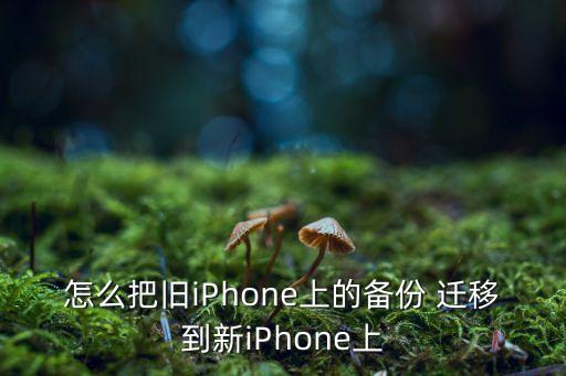 itunes遷移數(shù)據(jù),怎么從iTunes恢復(fù)數(shù)據(jù)