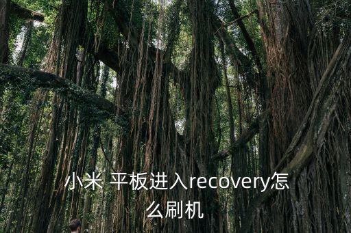  小米 平板進(jìn)入recovery怎么刷機(jī)