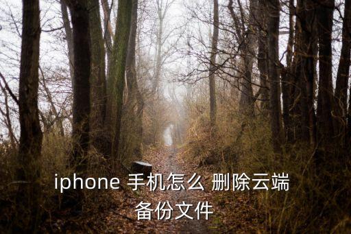 蘋果手機如何刪除應(yīng)用程序數(shù)據(jù)備份,如何查找蘋果手機刪除的應(yīng)用程序