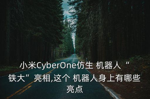 小米CyberOne仿生 機(jī)器人“鐵大”亮相,這個(gè) 機(jī)器人身上有哪些亮點(diǎn)