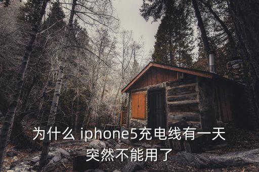 iphone5 數(shù)據(jù)線,iPhone5數(shù)據(jù)線能給13充電嗎