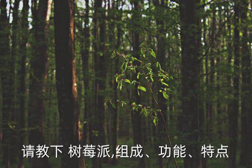 請教下 樹莓派,組成、功能、特點