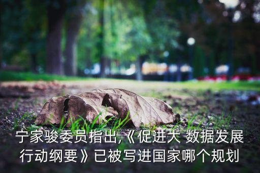 寧家駿委員指出,《促進大 數(shù)據(jù)發(fā)展行動綱要》已被寫進國家哪個規(guī)劃