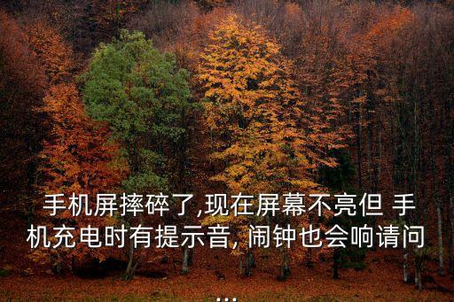  手機屏摔碎了,現(xiàn)在屏幕不亮但 手機充電時有提示音, 鬧鐘也會響請問...