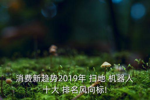 消費新趨勢2019年 掃地 機(jī)器人十大 排名風(fēng)向標(biāo)!