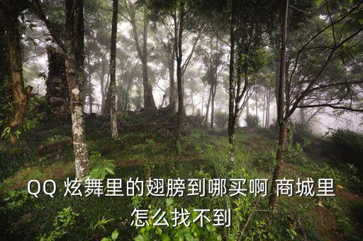 QQ 炫舞里的翅膀到哪買啊 商城里怎么找不到
