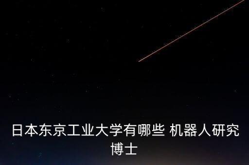 日本東京工業(yè)大學(xué)有哪些 機器人研究博士