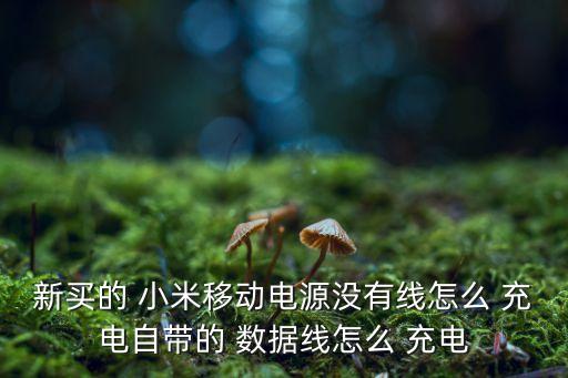 小米充電寶上的數(shù)據(jù)線